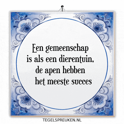 Humor Succes GIF by Tegelspreuken.nl
