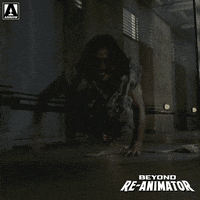 Coming Hurry Up GIF by Arrow Video