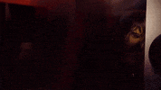 Slide Away GIF by Miley Cyrus