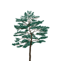 Tree Mountains Sticker by Our Second Nature