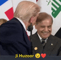 Shehbaz Sharif Trump GIF