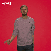 Auf Keinen Fall No GIF