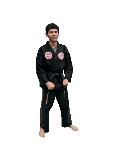 Karate Taekwondo Sticker by Team GMA