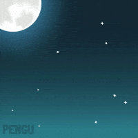 Flying Witch GIF by Pudgy Penguins