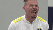 Celebrate Premier League GIF by Leeds United
