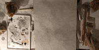 ATELIER-PREMIERE interior design tos ddb atelierpremiere GIF