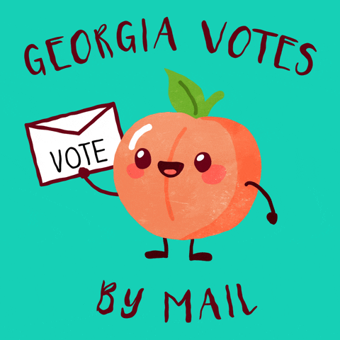 Voting Election Day GIF by INTO ACTION