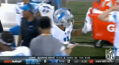 Detroit Lions Football GIF by NFL