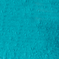 AloeUp beach skincare waves sunscreen GIF