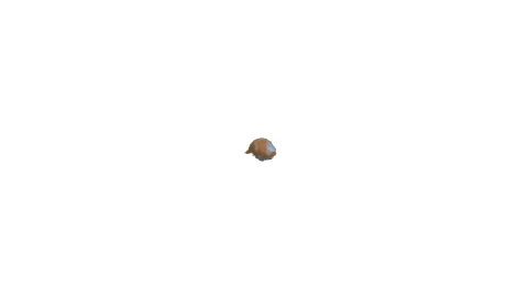Japanese Sushi Sticker by Kazoku Restaurant