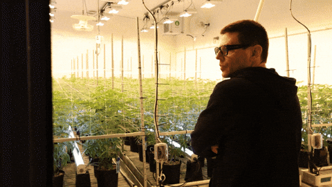 Walk In Wow GIF by Exclusive Brands