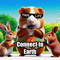 Community Wisdom GIF by Guinea Gambino