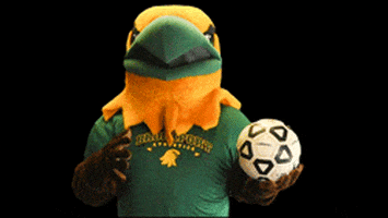 brockport giphyupload soccer mascot eagle GIF