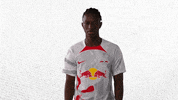 Football No GIF by RB Leipzig