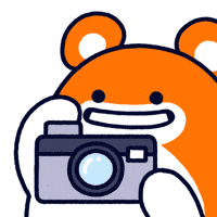 Photo Camera GIF