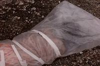 season 1 GIF by Twin Peaks on Showtime