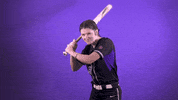 Softball GIF by Linfield Athletics