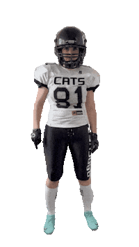 PragueBlackCats americanfootball pbc pbp tacklefootball Sticker