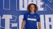 2 Bundesliga Goal GIF by Karlsruher SC