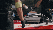 Nismo GIF by Nissan Motorsport