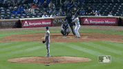 Regular Season Sport GIF by MLB