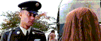forrest GIF