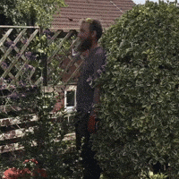 Homer Simpson GIF by Bristol Bears