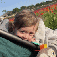 Baby What GIF by NOSAM
