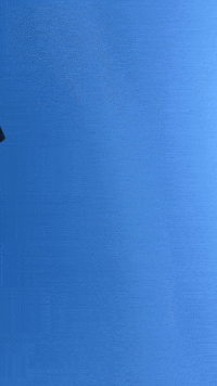 Air Force Homecoming GIF by Norwich University