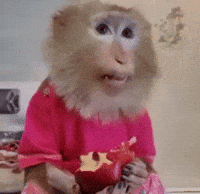 Czz GIF
