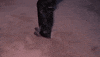 El Cucuy Cowgirl GIF by ESTEVIE