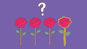 The Bachelorette Rose Ceremony GIF by Palm Bay Spritz