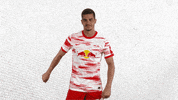 Champions League Dance GIF by RB Leipzig