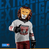 Hockey Hokej GIF by Tipsport extraliga