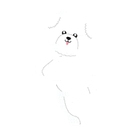 Dancing Sticker by Nature's Protection