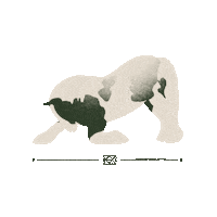 Horse Cheval Sticker