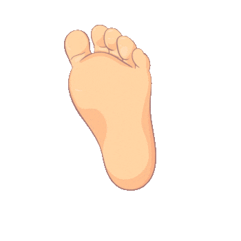Drakennedy feet sola pe daanrox Sticker