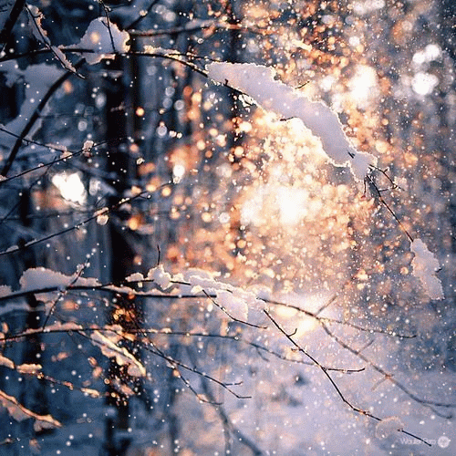 winter wonderland GIF