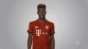 fc bayern football GIF by Bundesliga