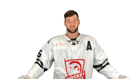 Sport Hockey Sticker by ledoritulys.lt