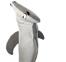 Chat Shark Sticker by Aquarium of the Pacific