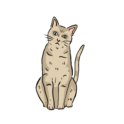 Cat Love Sticker by DilleKamille