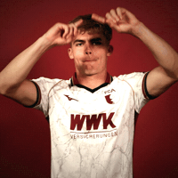 Bundesliga GIF by FC Augsburg 1907