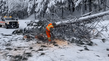 Crews Remove Downed Trees From I-80 in Northern California