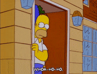 homer simpson wow GIF