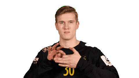 Handball Goalkeeper Sticker by EHF