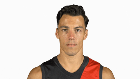 essendonfc giphyupload dons bombers essendon GIF