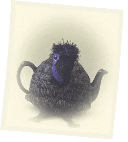 Big Bird GIF by TeaCosyFolk