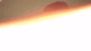Celebration Goal GIF by FC Red Bull Salzburg