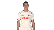 Football Soccer Sticker by Bundesliga